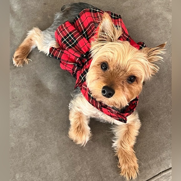 Meet your Posher, Amber - Picture 3 of 3